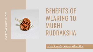 BENEFITS OF WEARING 10 MUKHI RUDRAKSHA