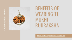 BENEFITS OF WEARING 11 MUKHI RUDRAKSHA