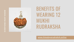 BENEFITS OF WEARING 12 MUKHI RUDRAKSHA