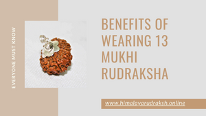 BENEFITS OF WEARING 13 MUKHI RUDRAKSHA