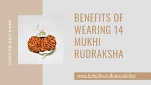 BENEFITS OF WEARING 14 MUKHI RUDRAKSHA