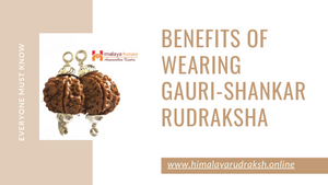 BENEFITS OF WEARING GAURI-SHANKAR RUDRAKSHA