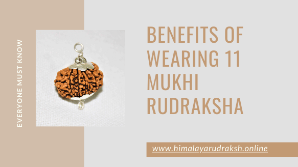 BENEFITS OF WEARING 11 MUKHI RUDRAKSHA - Himalaya Rudraksha Anusandhan Kendra