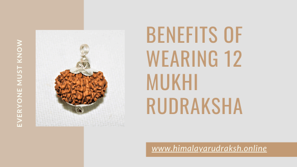 BENEFITS OF WEARING 12 MUKHI RUDRAKSHA - Himalaya Rudraksha Anusandhan Kendra