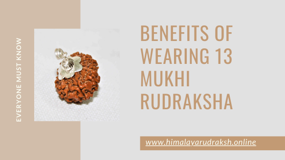 BENEFITS OF WEARING 13 MUKHI RUDRAKSHA - Himalaya Rudraksha Anusandhan Kendra