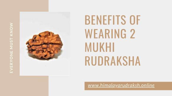 BENEFITS OF WEARING 2 MUKHI RUDRAKSHA - Himalaya Rudraksha Anusandhan Kendra