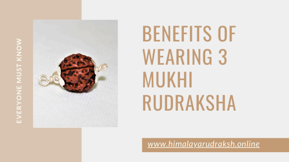 BENEFITS OF WEARING 3 MUKHI RUDRAKSHA - Himalaya Rudraksha Anusandhan Kendra