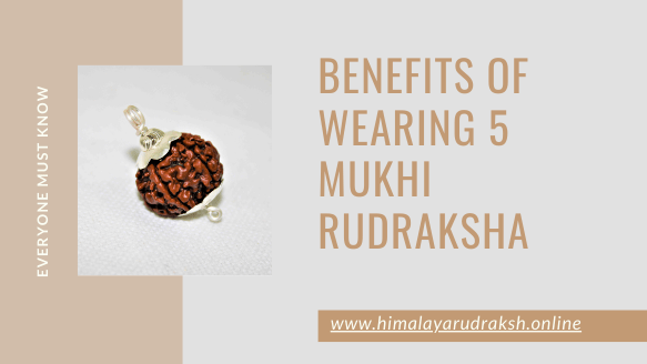 BENEFITS OF WEARING 5 MUKHI RUDRAKSHA - Himalaya Rudraksha Anusandhan Kendra