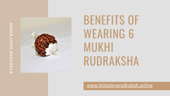 BENEFITS OF WEARING 6 MUKHI RUDRAKSHA - Himalaya Rudraksha Anusandhan Kendra