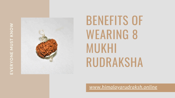BENEFITS OF WEARING 8 MUKHI RUDRAKSHA - Himalaya Rudraksha Anusandhan Kendra