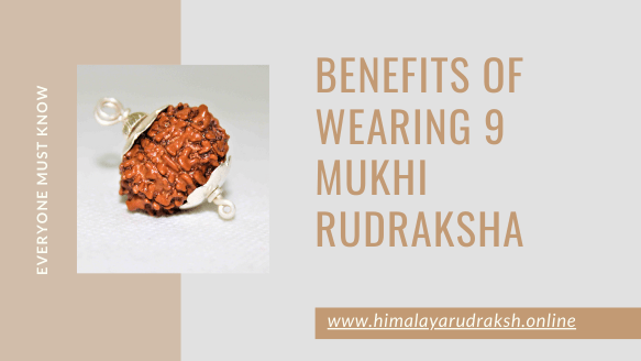 BENEFITS OF WEARING 9 MUKHI RUDRAKSHA - Himalaya Rudraksha Anusandhan Kendra