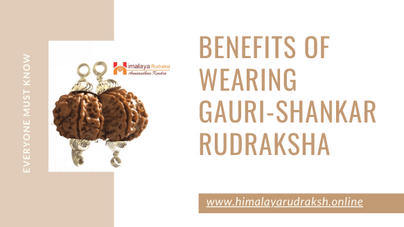 BENEFITS OF WEARING GAURI-SHANKAR RUDRAKSHA - Himalaya Rudraksha Anusandhan Kendra