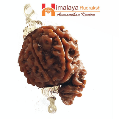 Ganesh Rudraksha-benefits-importance-mantra-methods to wear - Himalaya Rudraksha Anusandhan Kendra