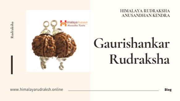 Gaurishankar Rudraksha - Himalaya Rudraksha Anusandhan Kendra
