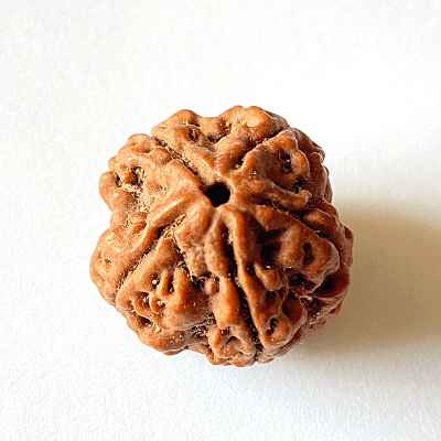 Who Should Wear 5 Mukhi Rudraksha? Benefits & Guidelines