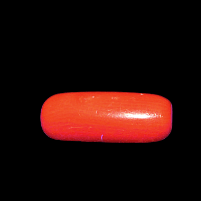 Natural Coral-Moonga-मूंगा - Himalaya Rudraksha Anusandhan Kendra