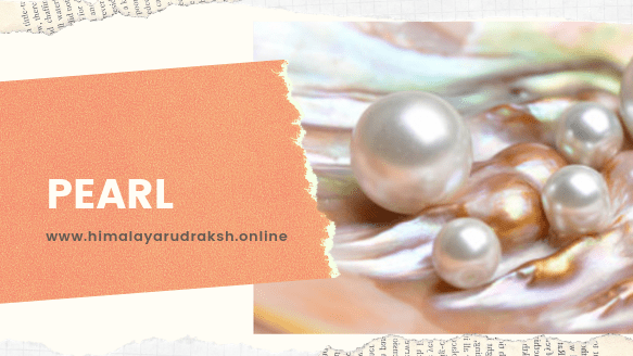 PEARL - Himalaya Rudraksha Anusandhan Kendra