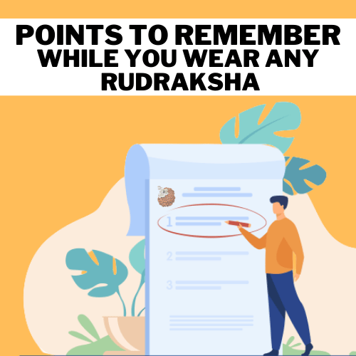 Points to Remember While You Wear Any Rudraksha - Himalaya Rudraksha Anusandhan Kendra