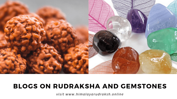 RUDRAKSHA - Himalaya Rudraksha Anusandhan Kendra