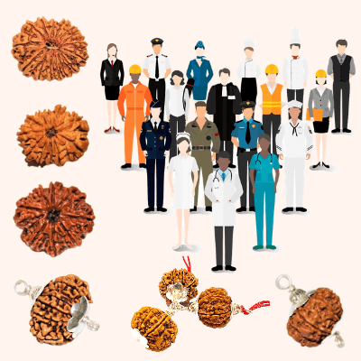 Which Rudraksha is Beneficial For Your Profession - Himalaya Rudraksha Anusandhan Kendra