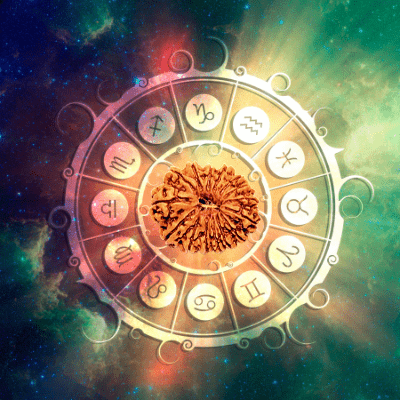 Which Rudraksha should you wear according to your Zodiac Sign? - Himalaya Rudraksha Anusandhan Kendra