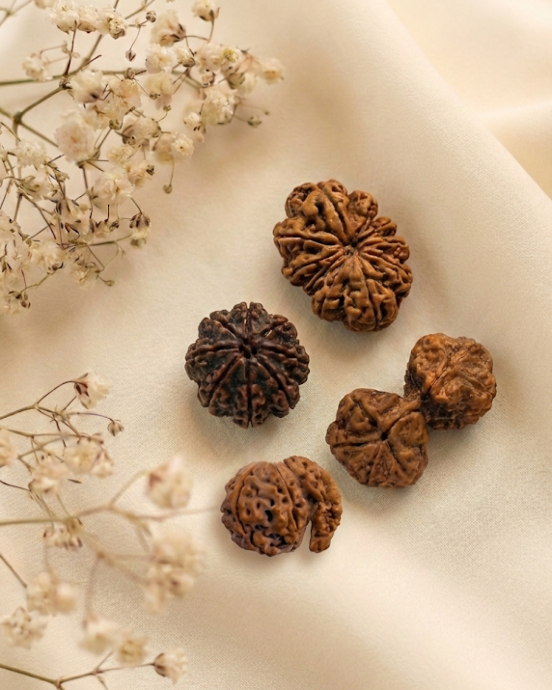 Antique Rudraksha Collection - Himalaya Rudraksha Anusandhan Kendra