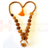 1 - 14 Mukhi Rudraksha Mala ( In Thread) - Himalaya Rudraksha Anusandhan Kendra