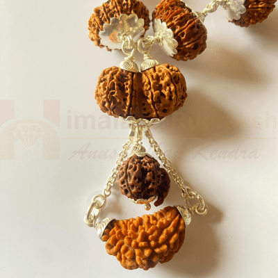 1 - 15 Mukhi Indra Rudraksha Mala (Nepal Origin - Collector Beads) - Himalaya Rudraksha Anusandhan Kendra