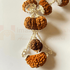 1 - 15 Mukhi Indra Rudraksha Mala (Nepal Origin - Collector Beads) - Himalaya Rudraksha Anusandhan Kendra