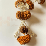 1 - 15 Mukhi Indra Rudraksha Mala (Nepal Origin - Collector Beads) - Himalaya Rudraksha Anusandhan Kendra