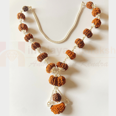 1 - 15 Mukhi Indra Rudraksha Mala (Nepal Origin - Collector Beads) - Himalaya Rudraksha Anusandhan Kendra