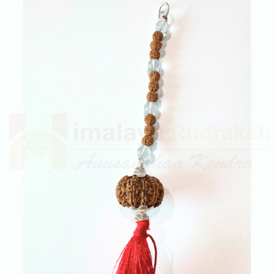 11 Mukhi Hanging For (Vehicle Protection) - Himalaya Rudraksha Anusandhan Kendra