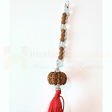 11 Mukhi Hanging For (Vehicle Protection) - Himalaya Rudraksha Anusandhan Kendra