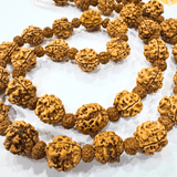 3 Mukhi Rudraksha Mala - Nepali - Himalaya Rudraksha Anusandhan Kendra