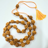 3 Mukhi Rudraksha Mala - Nepali - Himalaya Rudraksha Anusandhan Kendra
