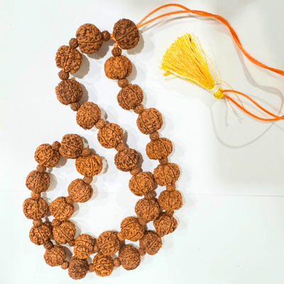 6 Mukhi Rudraksha Mala - Nepali - Himalaya Rudraksha Anusandhan Kendra
