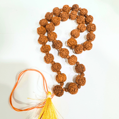 6 Mukhi Rudraksha Mala - Nepali - Himalaya Rudraksha Anusandhan Kendra