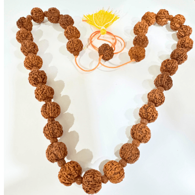 6 Mukhi Rudraksha Mala - Nepali - Himalaya Rudraksha Anusandhan Kendra