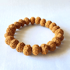 7 Face Rudraksha Bracelet - Himalaya Rudraksha Anusandhan Kendra