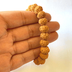 7 Face Rudraksha Bracelet - Himalaya Rudraksha Anusandhan Kendra
