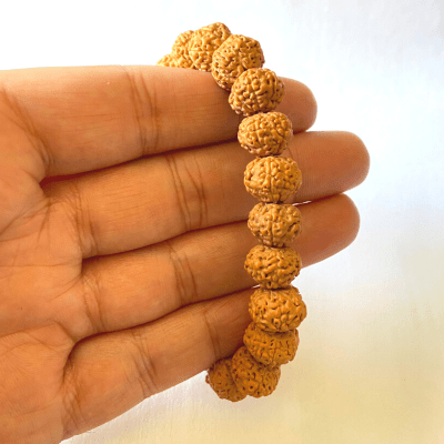7 Face Rudraksha Bracelet - Himalaya Rudraksha Anusandhan Kendra