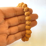 7 Face Rudraksha Bracelet - Himalaya Rudraksha Anusandhan Kendra