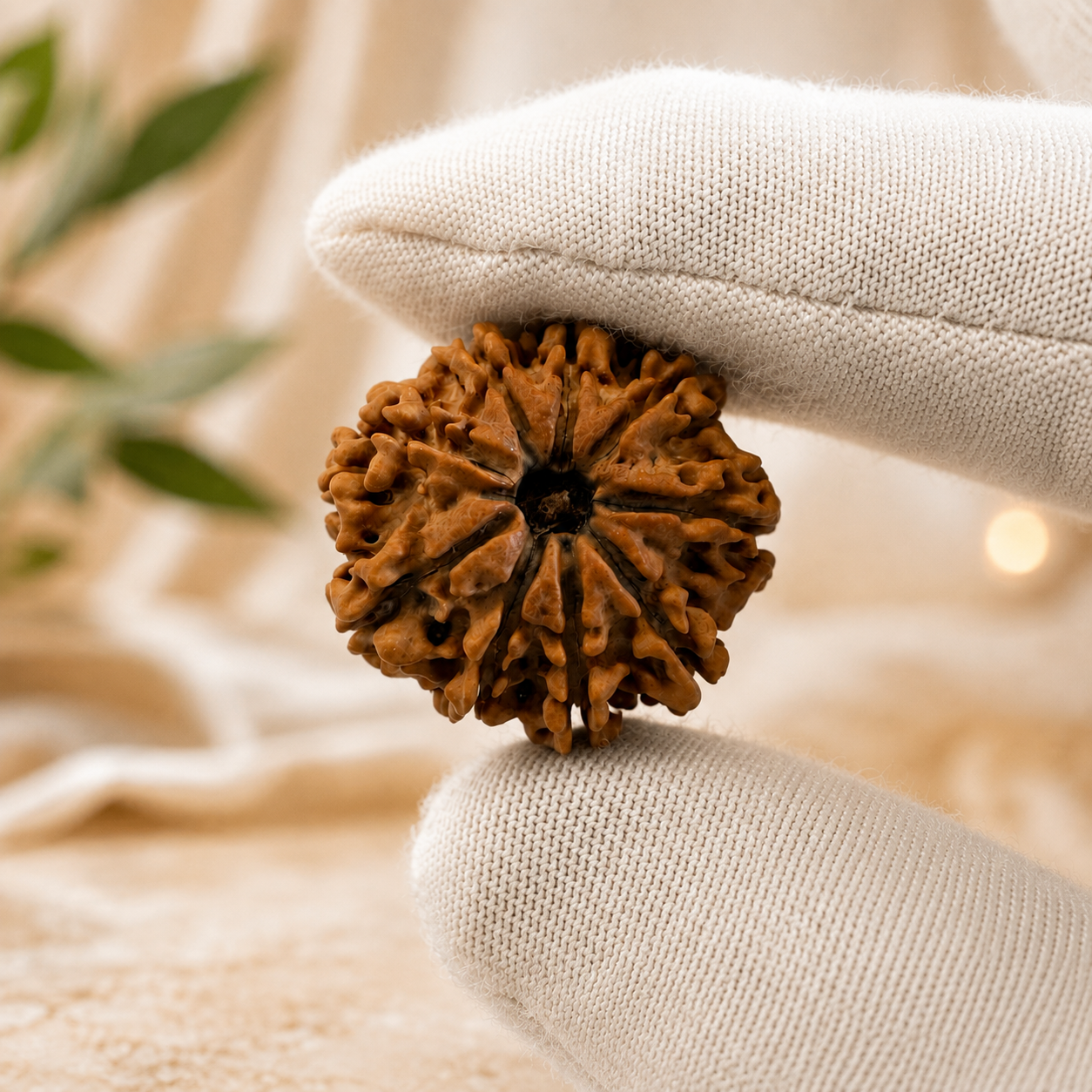 Antique 9 Mukhi Rudraksha with 9 Internal Seeds | Nepal Origin- 27.43 MM | 4.28 Gms