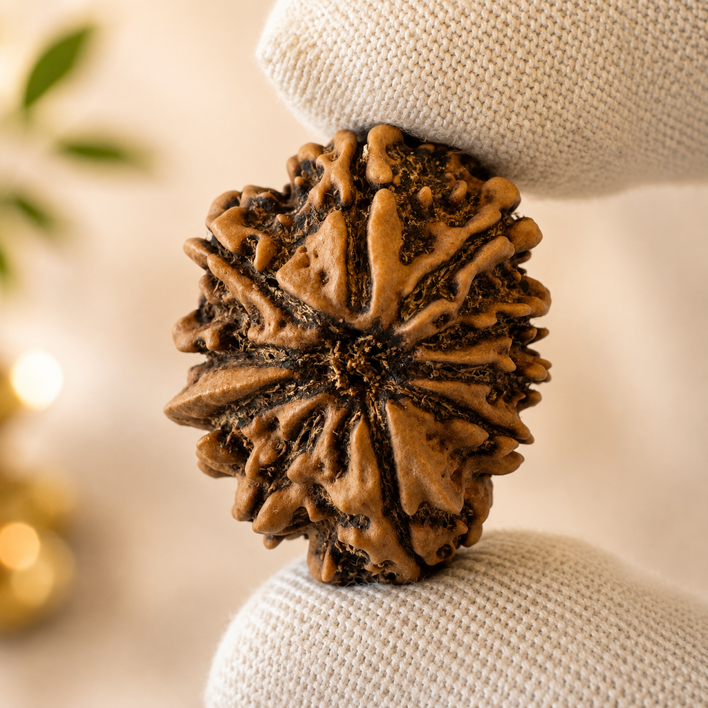 Antique 10 Mukhi Ganesh Rudraksha |Nepal Origin- 25.88 MM | 3.83 Gms|