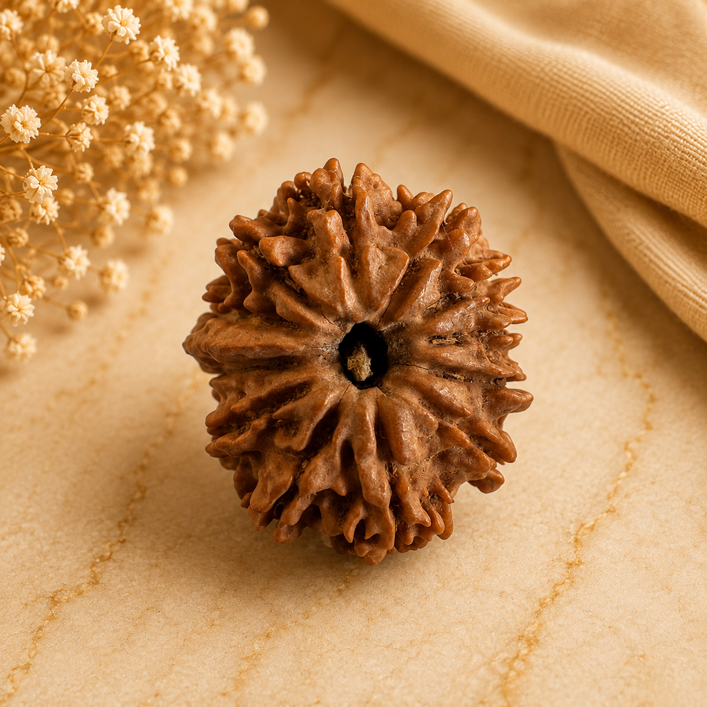 Antique 12 Mukhi Ganesh Rudraksha (Nepal Origin- 27.17 MM | 5.04 Gms)
