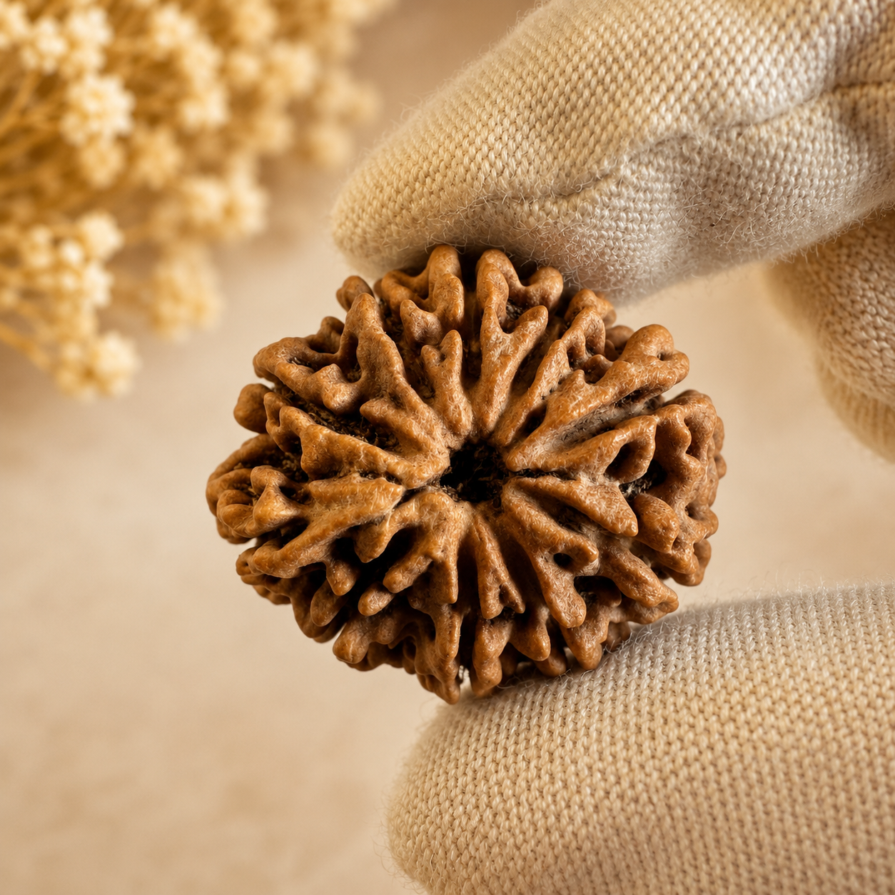 Antique 10 Mukhi Ganesh Rudraksha (Nepal Origin- 27.36 MM | 4.04 Gms)