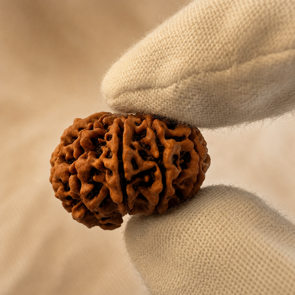 Antique 10 Mukhi Ganesh Rudraksha (Nepal Origin- 27.36 MM | 4.04 Gms)