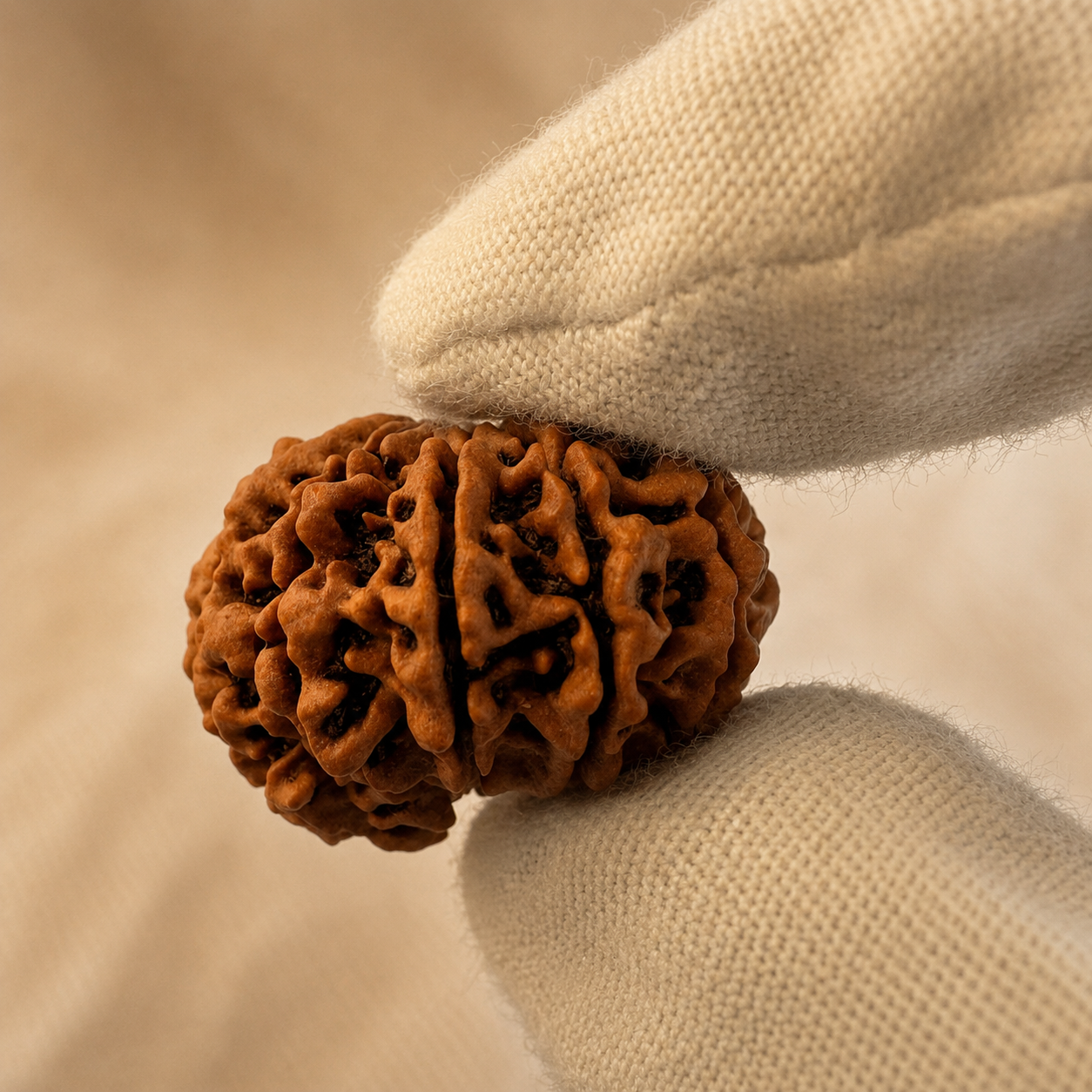Antique 10 Mukhi Ganesh Rudraksha (Nepal Origin- 27.36 MM | 4.04 Gms)