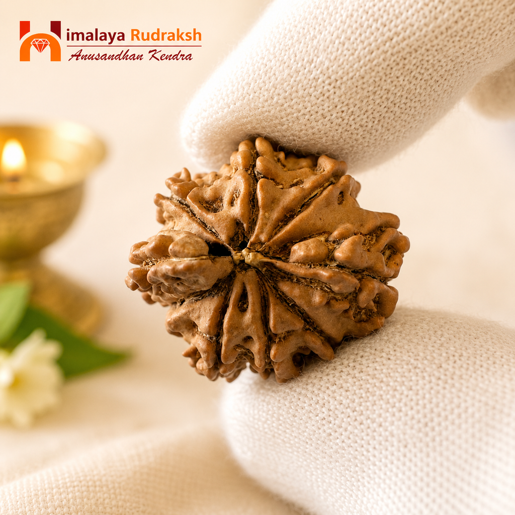 Antique 9 Mukhi Ganesh Rudraksha (Nepal Origin- 24.22 MM | 2.31 Gms) - Himalaya Rudraksha Anusandhan Kendra