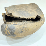 Antique Lakshmi Narsima Shaligram - 3.86 Kgs - Himalaya Rudraksha Anusandhan Kendra